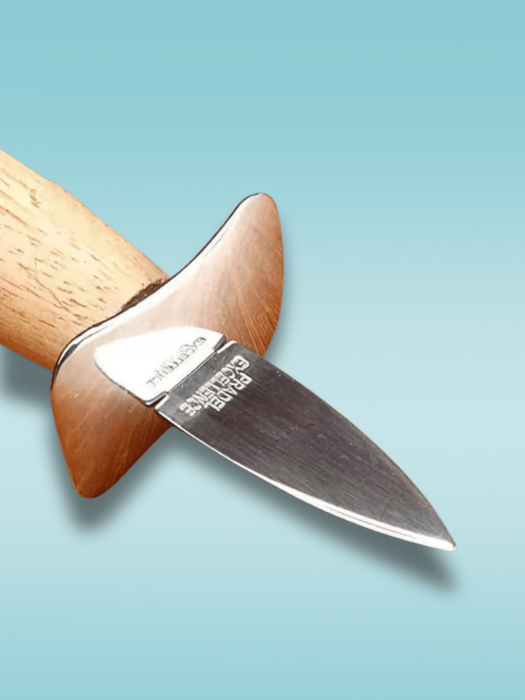 Couteau à Huître | bord tranchant Bois
