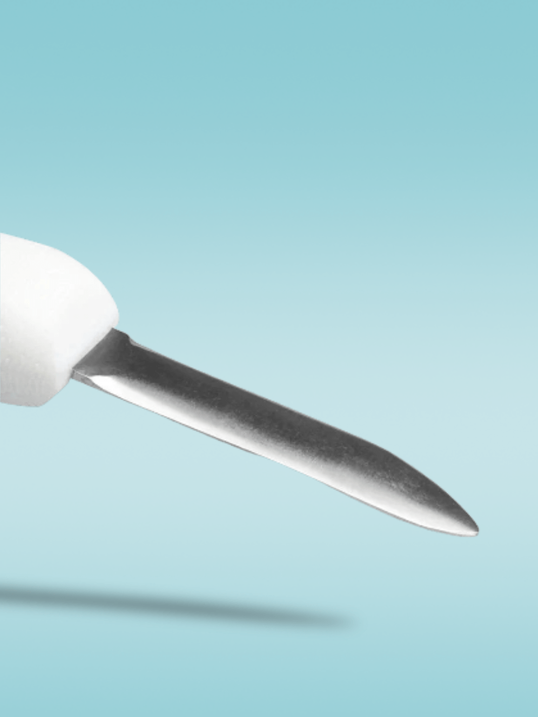 Couteau a Huitre <br> noir et blanc