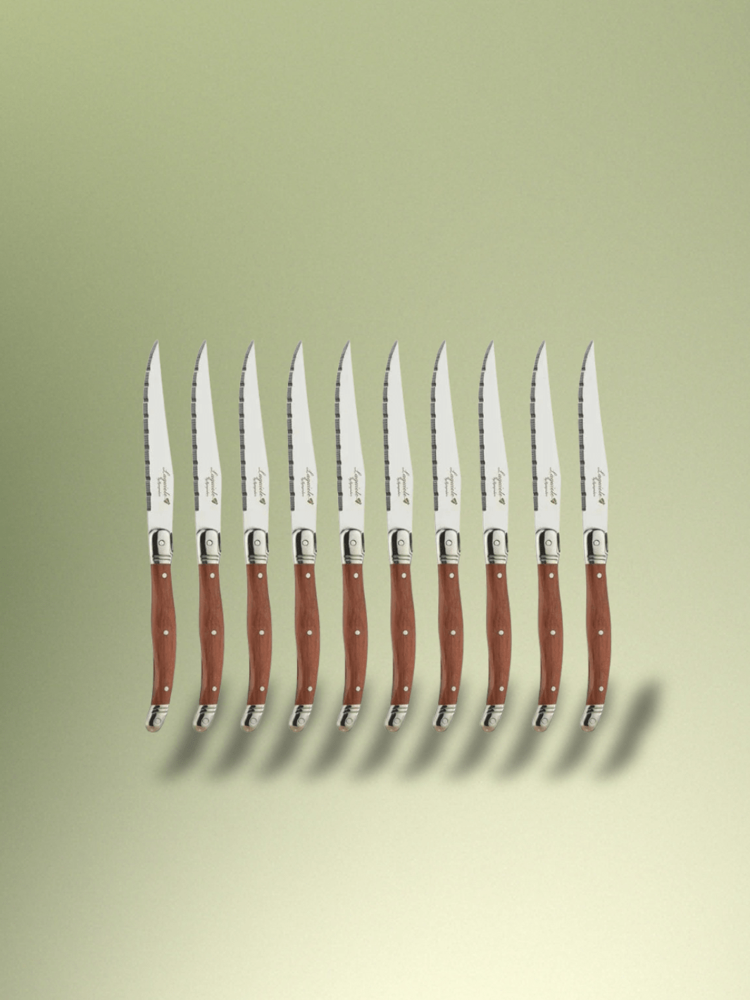Couteau Laguiole | couverts de table 10 Pièces couteaux