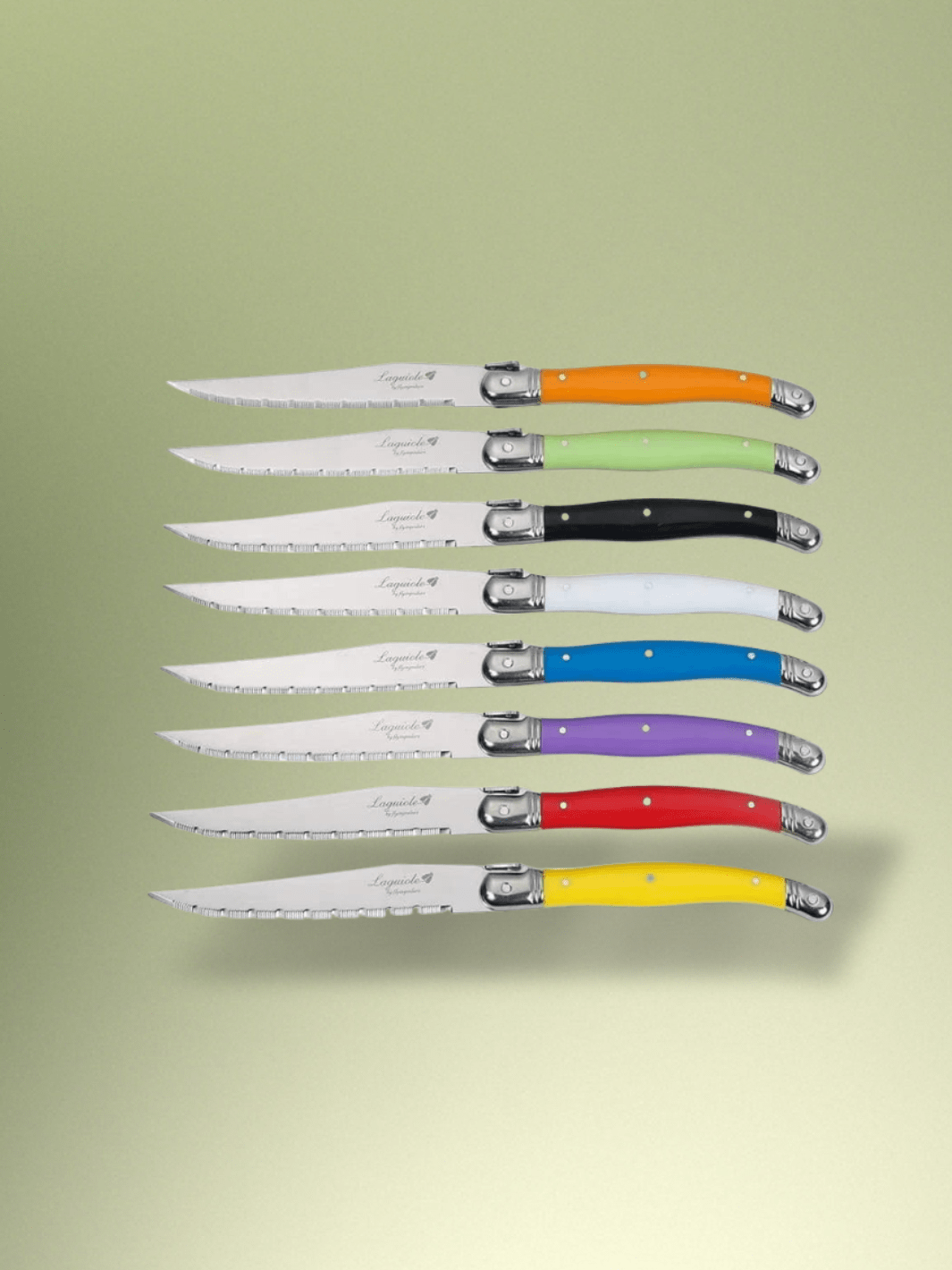 Couteau Laguiole | support en bois 8 Pièces multicolores