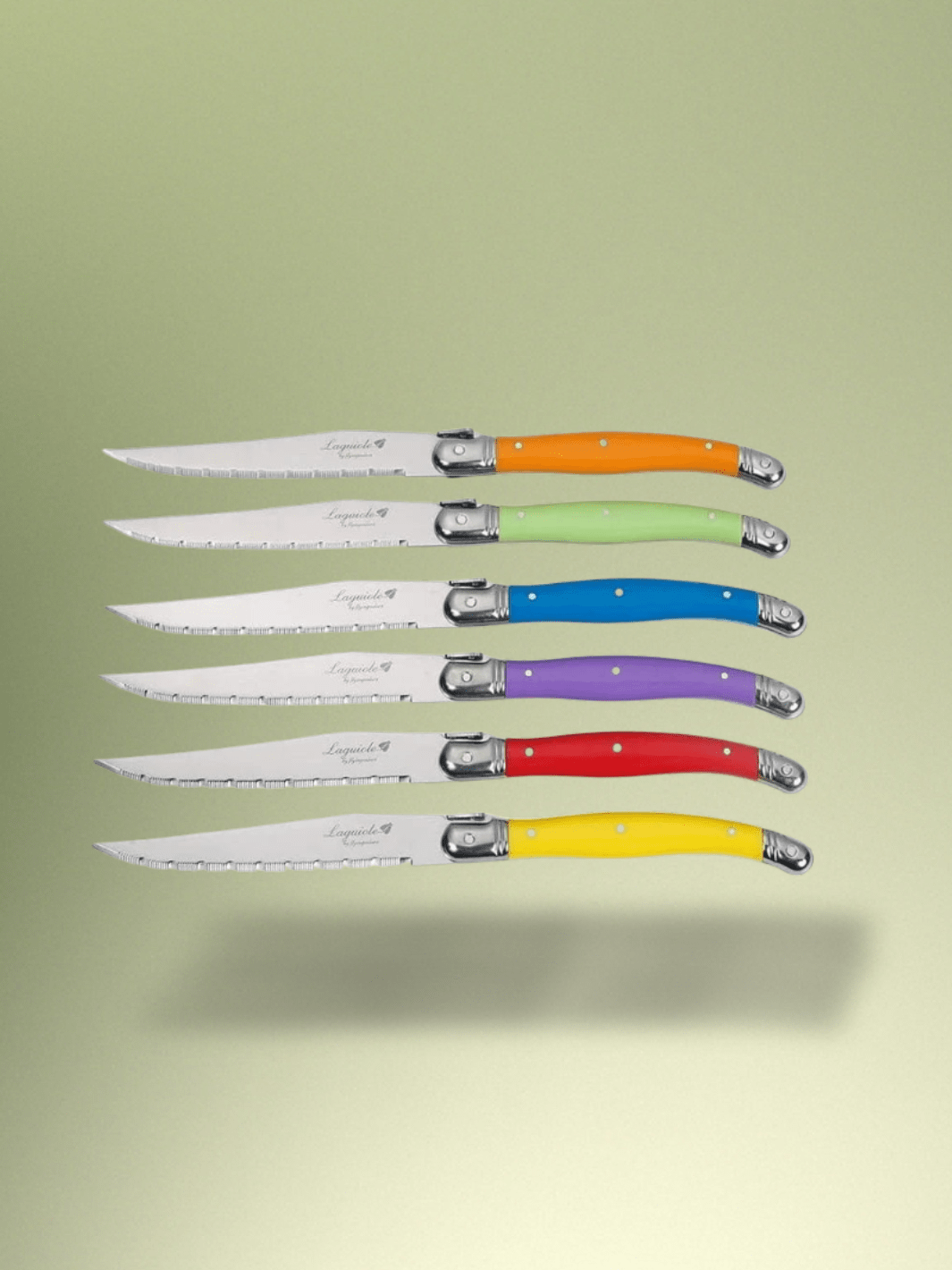 Couteau Laguiole | support en bois 6 Pièces multicolores