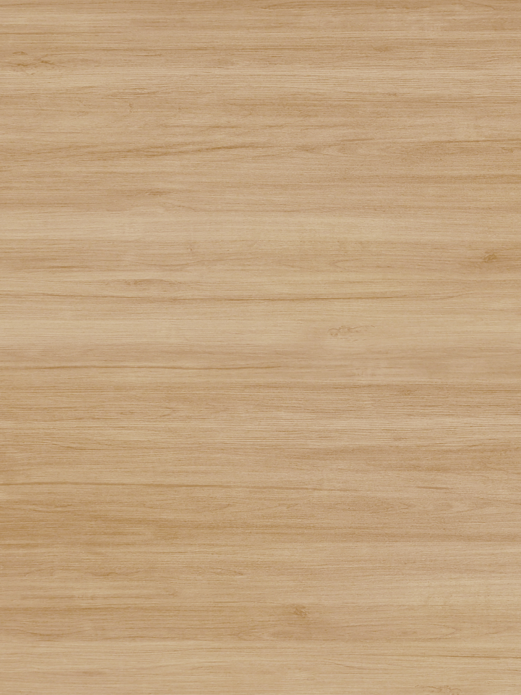 Couteau à Fromage spatule à beurre de 6.8 pouces