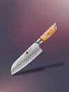 couteau de cuisine