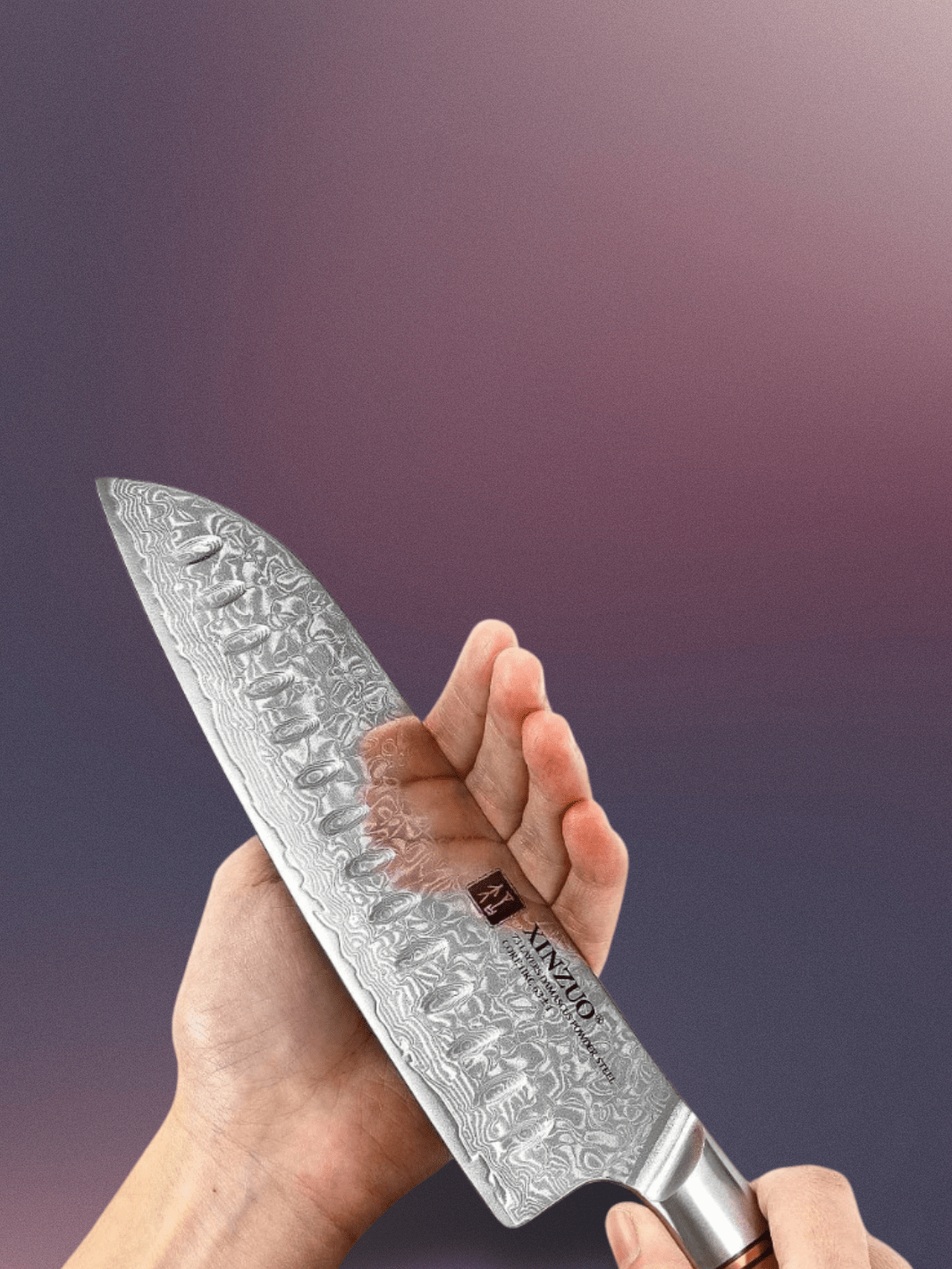Couteau de Cuisine <br> Noyau en acier Damas