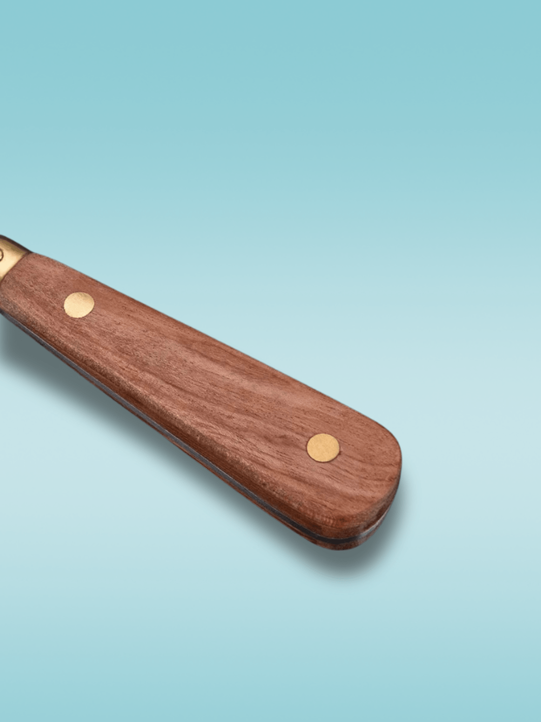 couteaux à huîtres <br> manche en bois Bois
